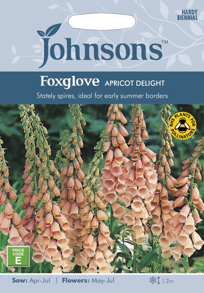 Johnsons Foxglove Apricot Delight Seeds 5010931202591