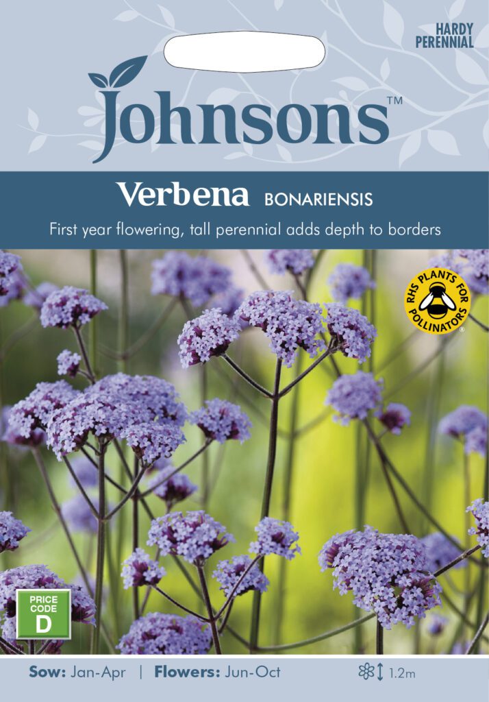 Johnsons Verbena Bonariensis Seeds 5010931202737