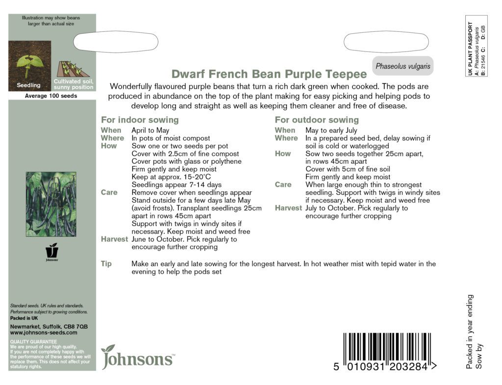 Johnsons Dwarf French Bean Purple Teepee Seeds 5010931203284