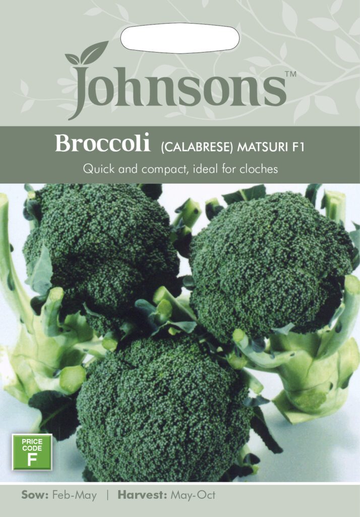 Johnsons Broccoli Matsuri Seeds 5010931261949