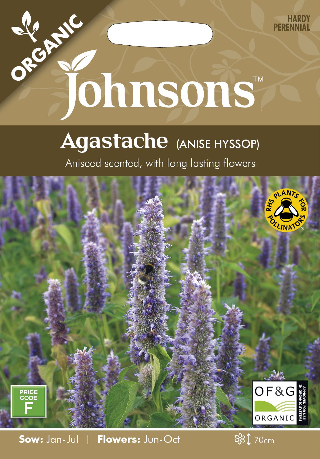 Johnsons Organic Agastache Anise Hyssop Seeds Hillier
