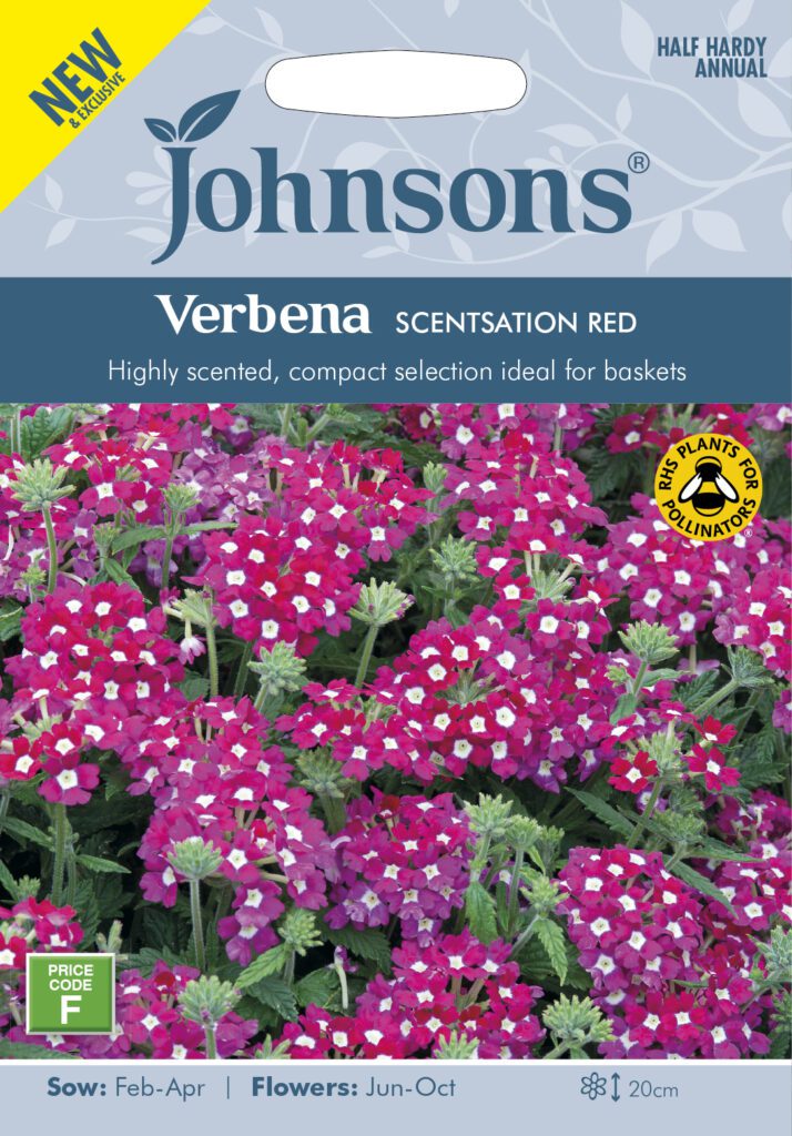 Johnsons Verbena Scentsation Red Seeds 5010931381388