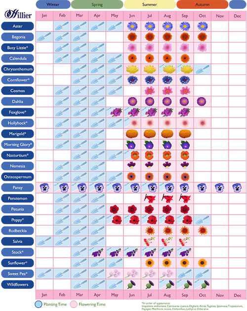 flower-planting-schedule-full-sun-planting-plan-for-lucy-willcox