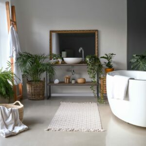 Bathroom houseplants