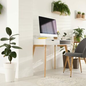 workplace at home with houseplants