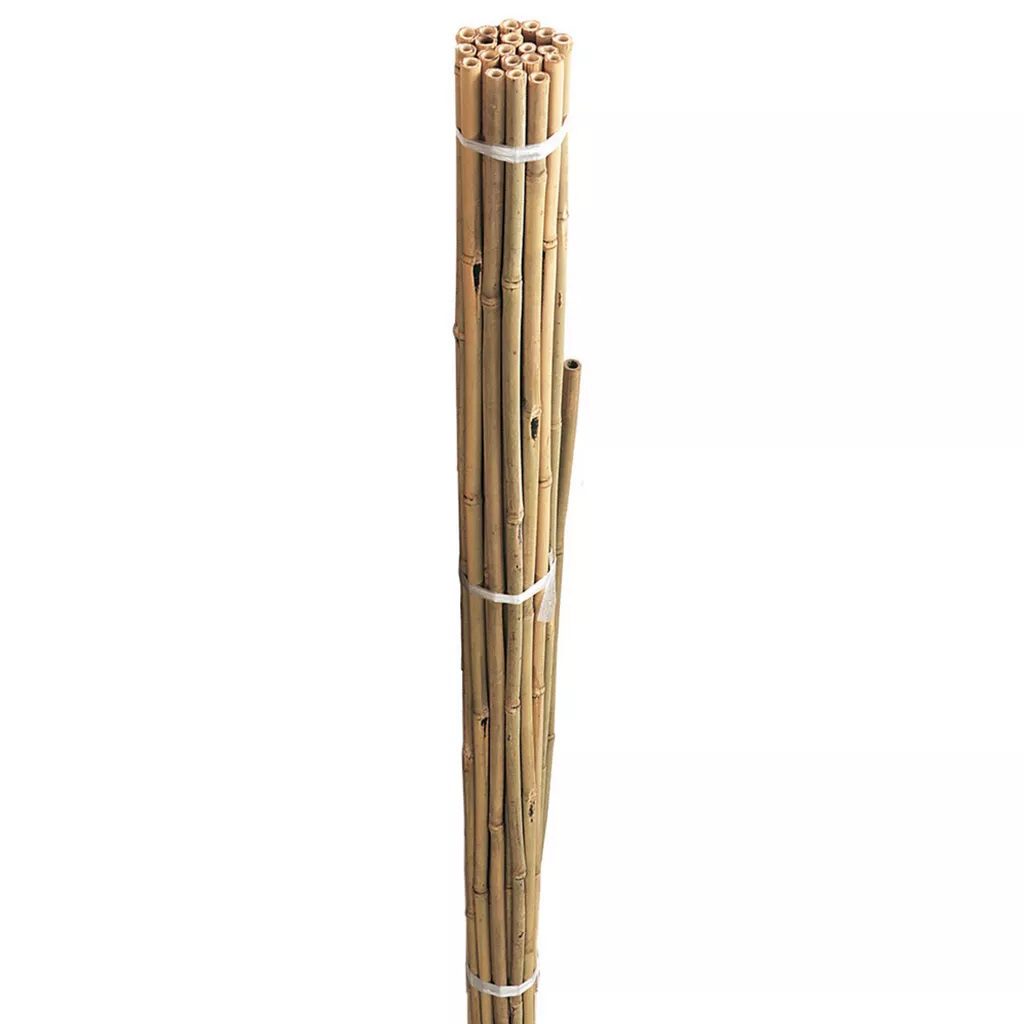 Grow It Bamboo Canes Pack of 20 5024160080714