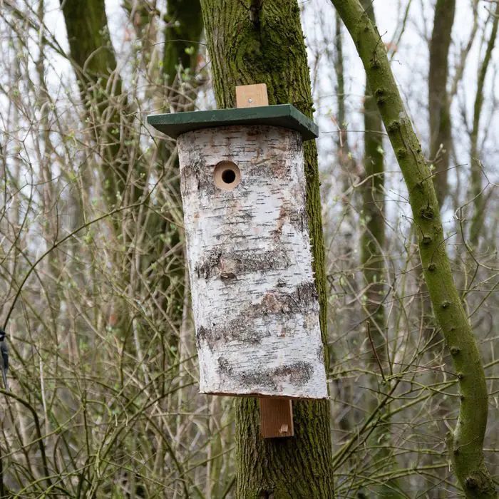 CJ Wildlife Malmo Woodpecker Bird Box 5051054207223