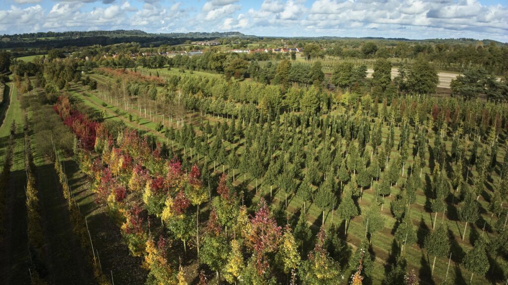 A Drone View of Andlers Ash Tree Nursery