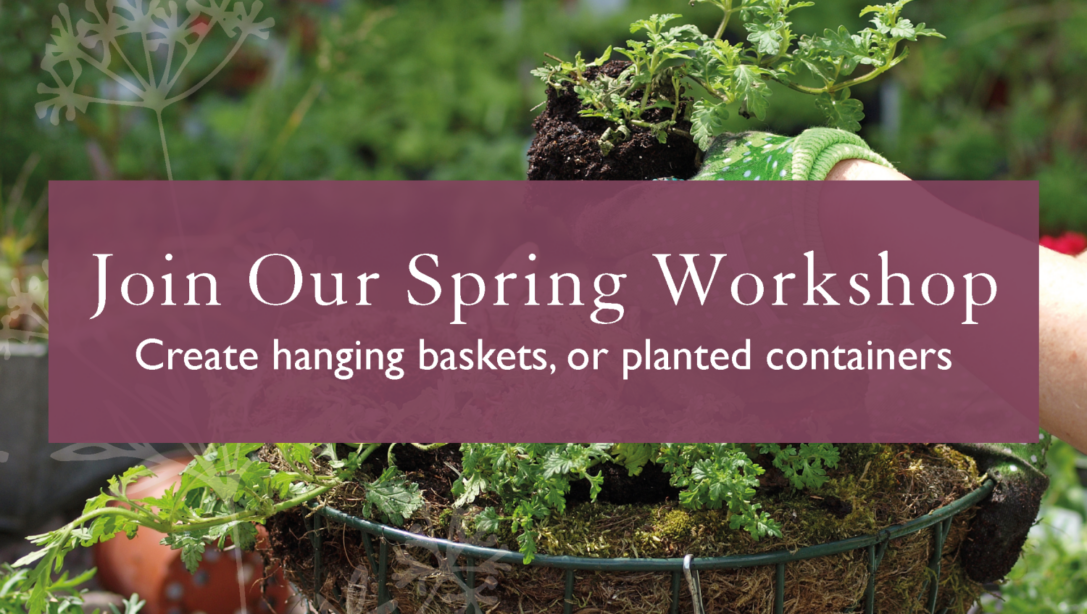 Join our spring workshop. Create hanging baskets, or planted containers