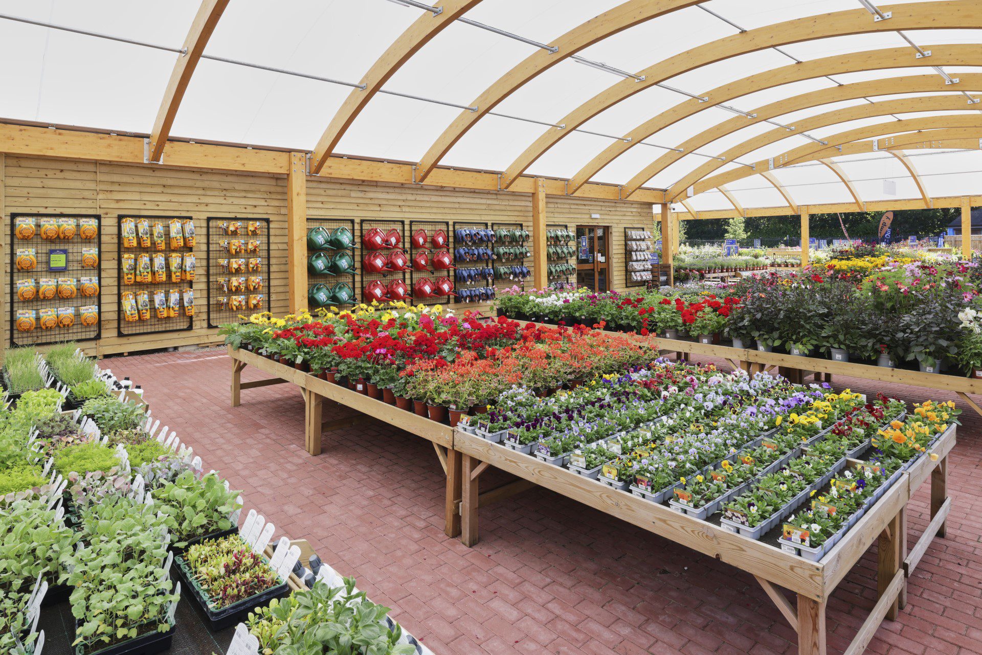 The Bedding Area of a Hillier Garden Centre in Spring Bloom