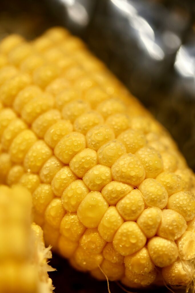 close up view of sweetcorn with water droplets on it