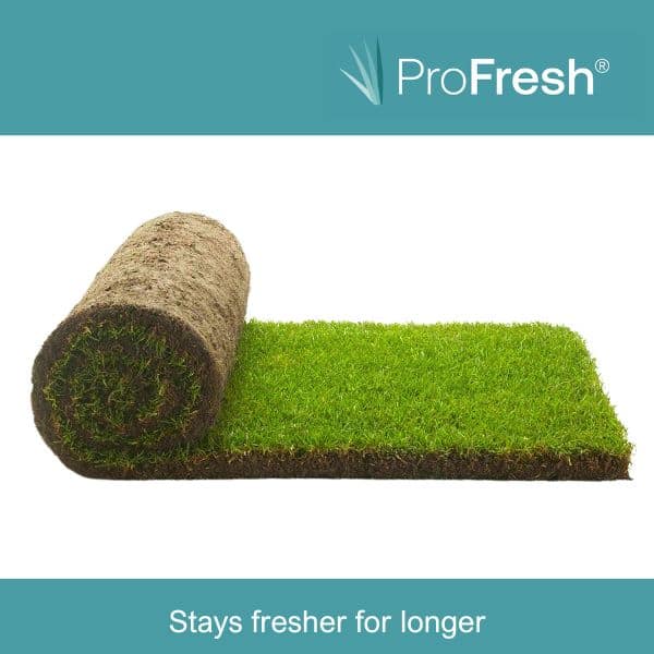 Rolawn Medallion Grass Turf – 20 Rolls 00473463